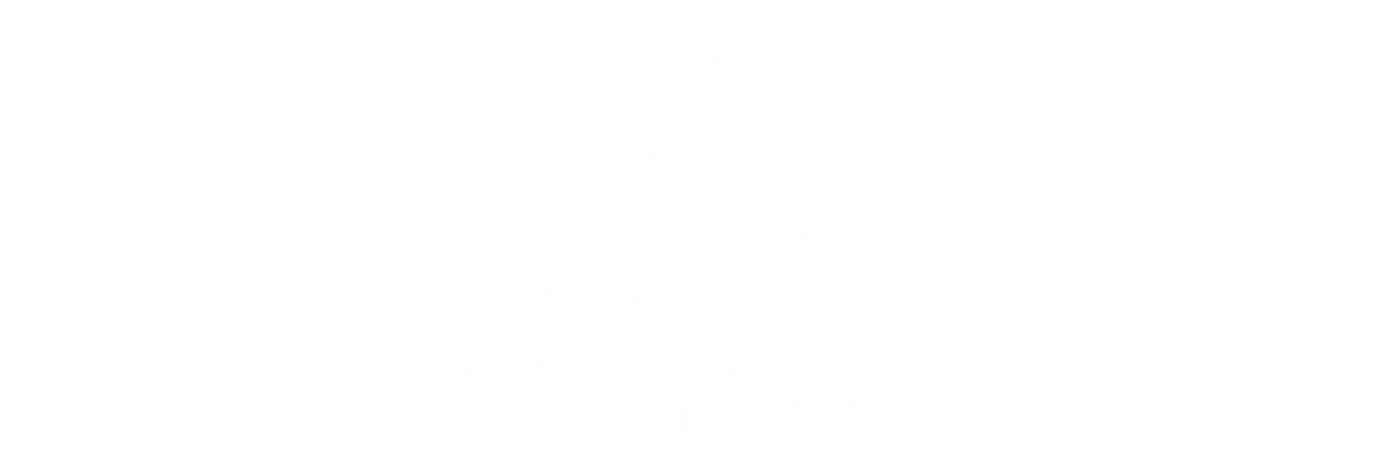 futtaim logo